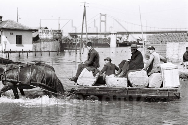 Београдске приче: Маларија харала и у 20. веку